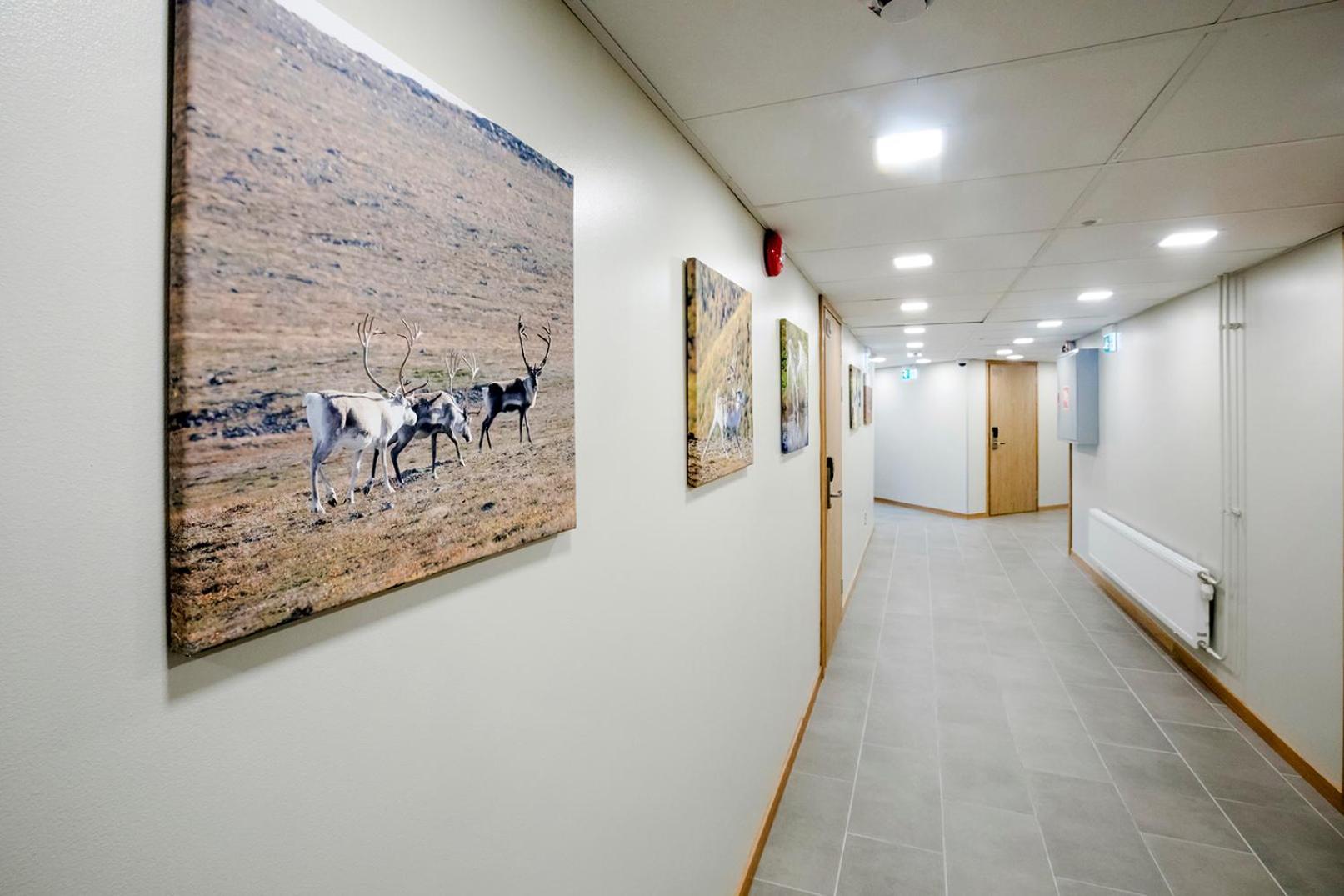 Hostel Toivola Кемі Екстер'єр фото